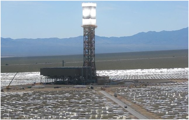 La planta solar más grande del mundo en California ‘fulmina’ 28.000 aves al año mientras vuelan