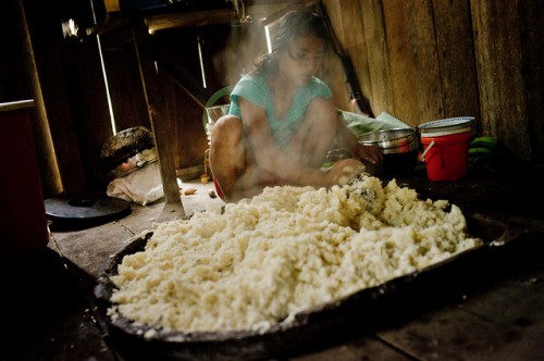 Para impulsar la seguridad alimentaria y los recursos forestales se necesita una nueva forma de pensar