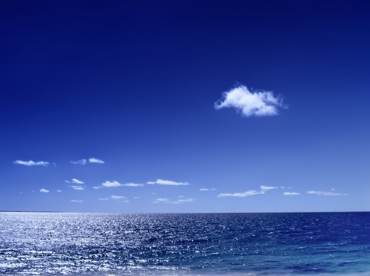 Analizando los efectos de la contaminación en 2.500 kilómetros de litoral español