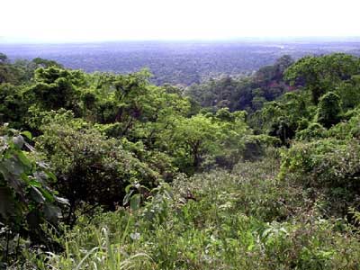 Argentina. Parque Temático de la Biodiversidad