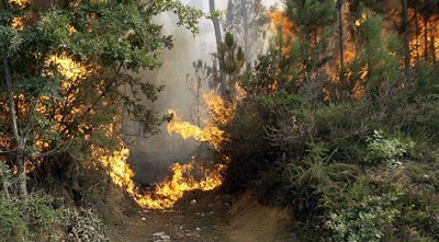 El incendio de Rubiá (Orense) quemó 125 hectáreas