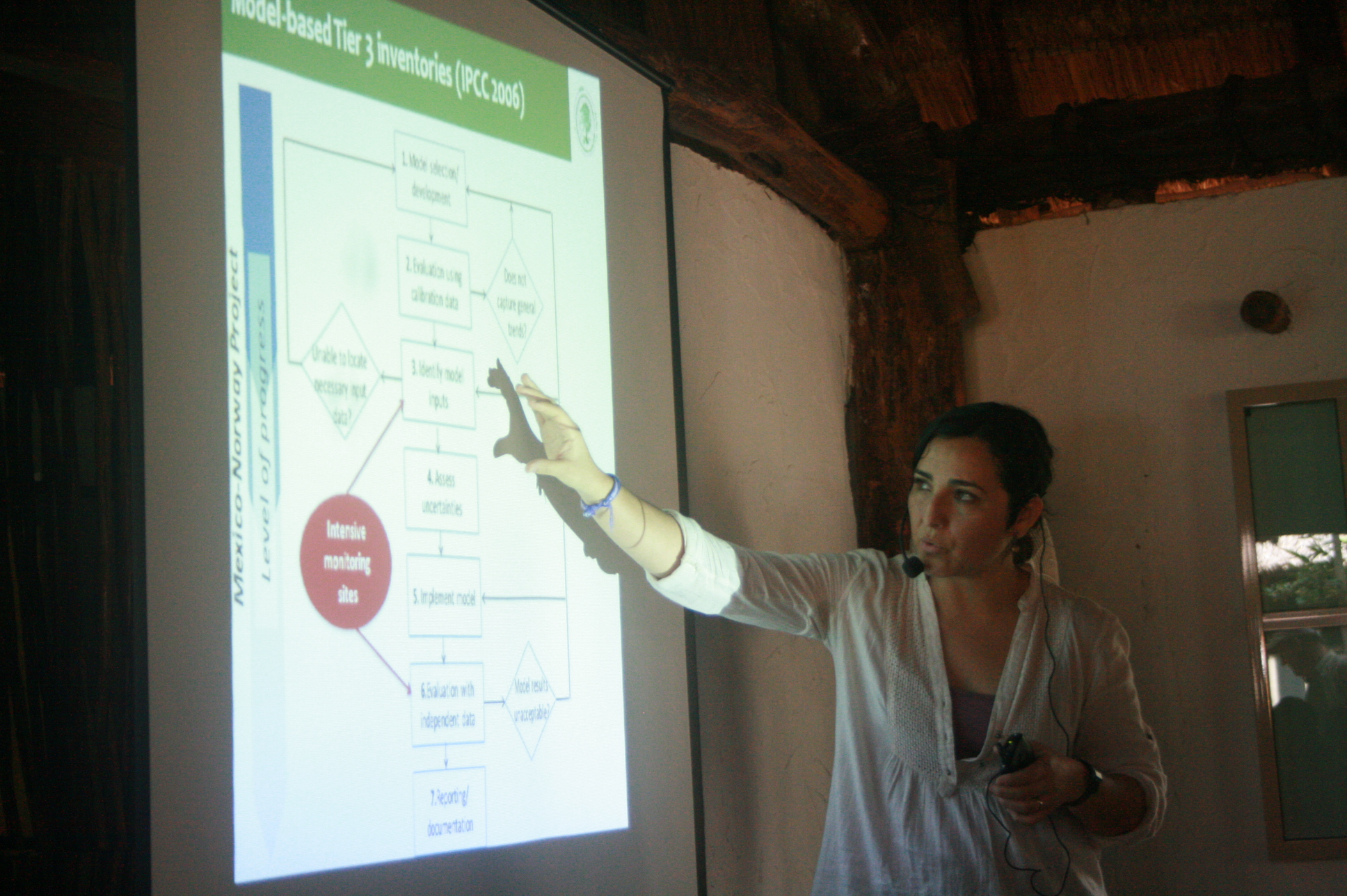México. Inician monitoreo intensivo de carbono forestal
