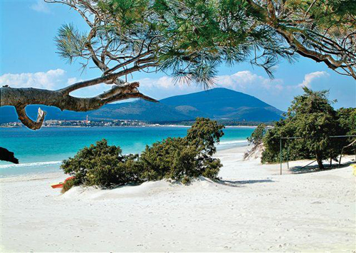 Campaña de vigilancia y control de las aguas de baño en Cataluña durante el verano