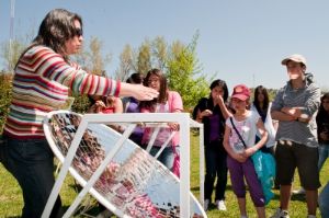 Los mejores proyectos verdes para niños