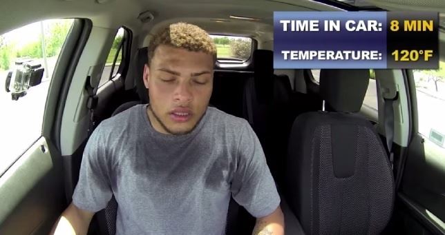 Cuándo dejas a tu perro cerrado en el coche en verano lo maltratas ‘severamente’ (Vea VIDEO)