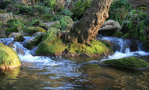 El Coloquio Doñana Ecosocial retoma el debate sobre la gestión responsable del agua en la comarca
