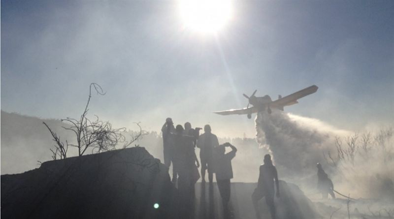 Chile. Los incendios forestales queman miles de hectáreas
