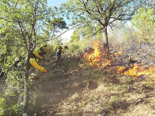 Presupuestos Generales