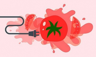 Producir energía con tomates