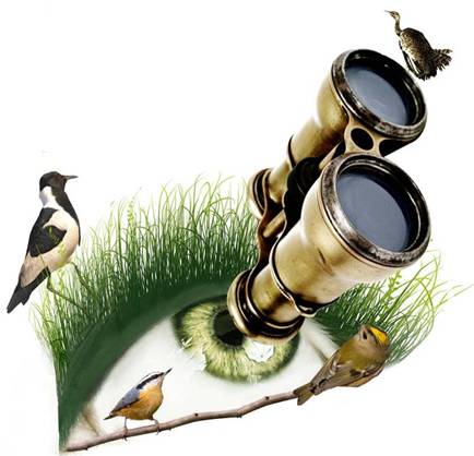 España como destino de turismo ornitológico y ecoturismo