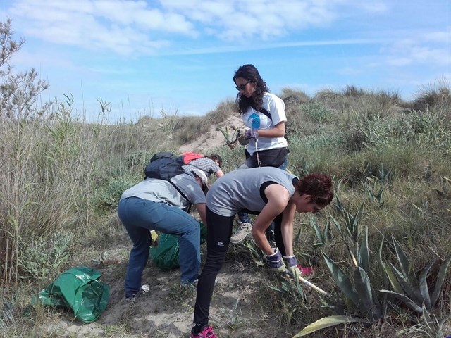 Trabajadores de Quirónsalud participan en una tarea de erradicación de plantas invasoras en LAlbufera