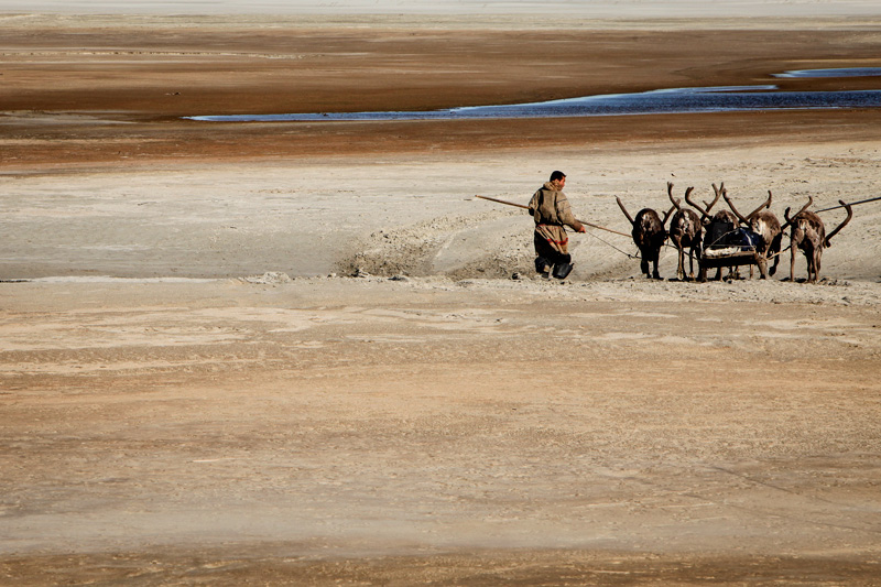 Reactivo: brote de ántrax en el Ártico