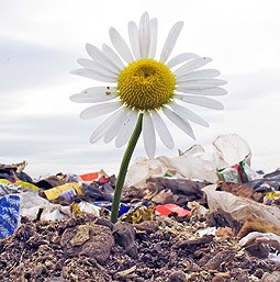 Te vas a apuntar a la nueva edición del Máster en Gestión Sostenible de los Residuos