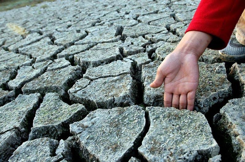 Un devastador cambio climático nos abrirá los ojos cuando sea demasiado tarde