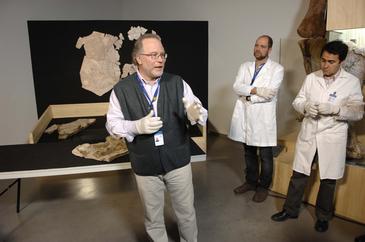 Cuenca. El Parque de las Ciencias ha incorporado nuevos fósiles en el área Dinosaurios