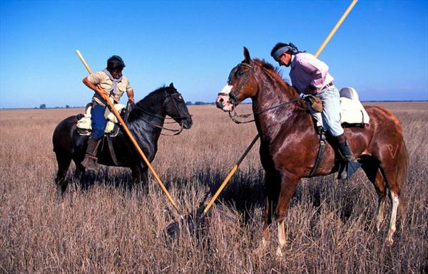 Castilla-La Mancha autoriza la caza de jabalí alanceado a caballo