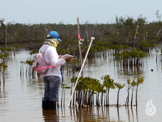 Máster a distancia en Rehabilitación Ambiental Terrestre