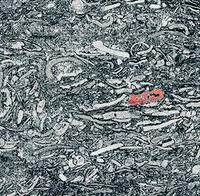 Encuentran los que podrían ser los fósiles animales más antiguos