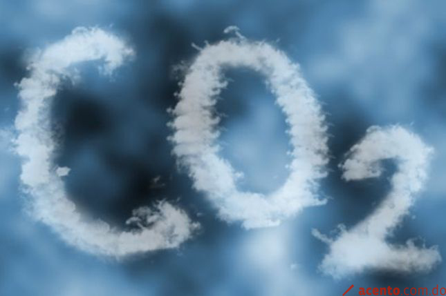 Costa Rica avanza hacia la creación de un mercado local de carbono