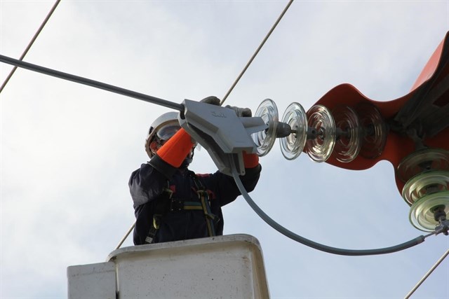 Técnicos españoles de 3M desarrollan un sistema para evitar la electrocución de aves en tendidos eléctricos