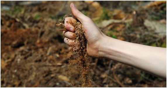 3ª edición a punto de comenzar: Suelos contaminados
