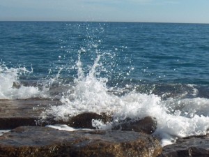 Vigilando el ecosistema marino en América Latina y el Caribe