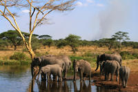 Aprueban el ‘IPCC de la biodiversidad