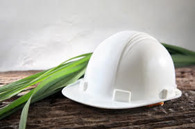 Gestión del Medio Ambiente