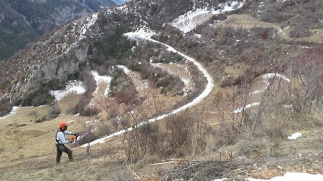 El Parc Natural del Cadí-Moixeró realiza trabajos forestales para prevenir incendios