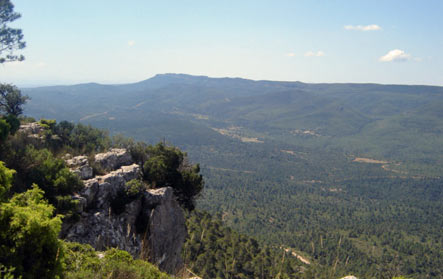 Medio Ambiente adapta el Parque Natural de las Hoces del Cabriel para las personas discapacitadas