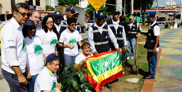 6 mil árboles para una ciudad con un medio ambiente más amable