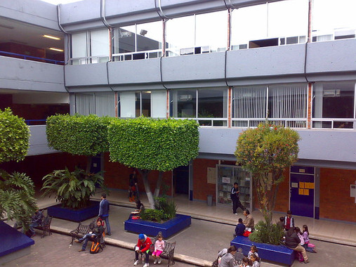 La vegetación en las escuelas reduce considerablemente la contaminación del aire