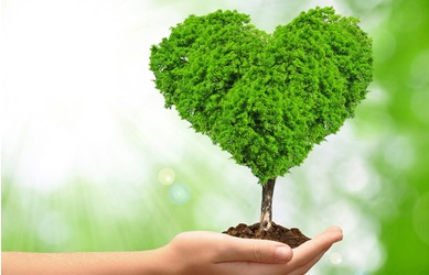 MBA Executive en Medio Ambiente y Responsabilidad Social