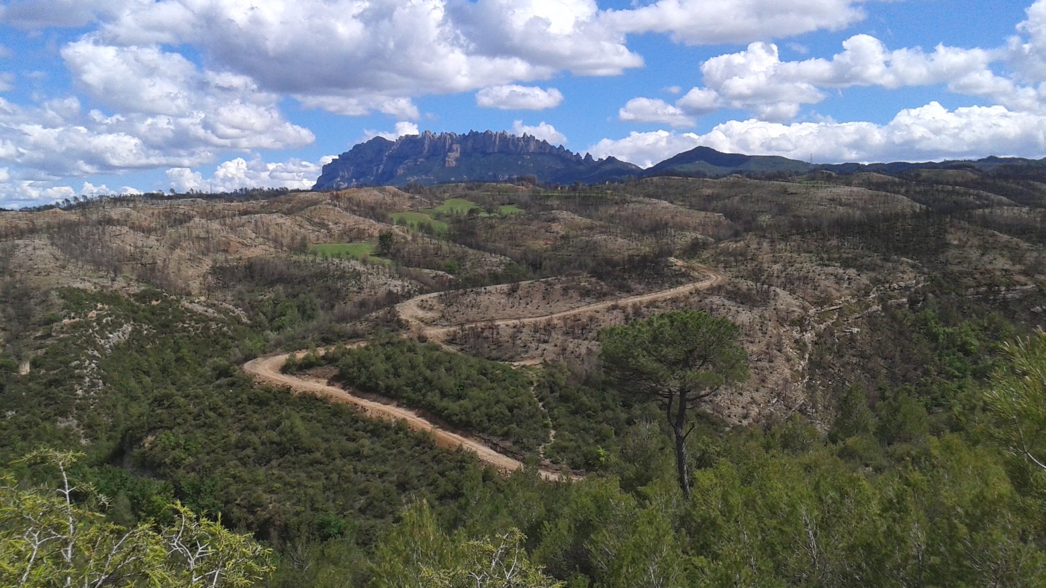 Medio Ambiente finaliza las obras de restauración tras el gran incendio forestal en las comarcas de Anoia y Bagues en Barcelona