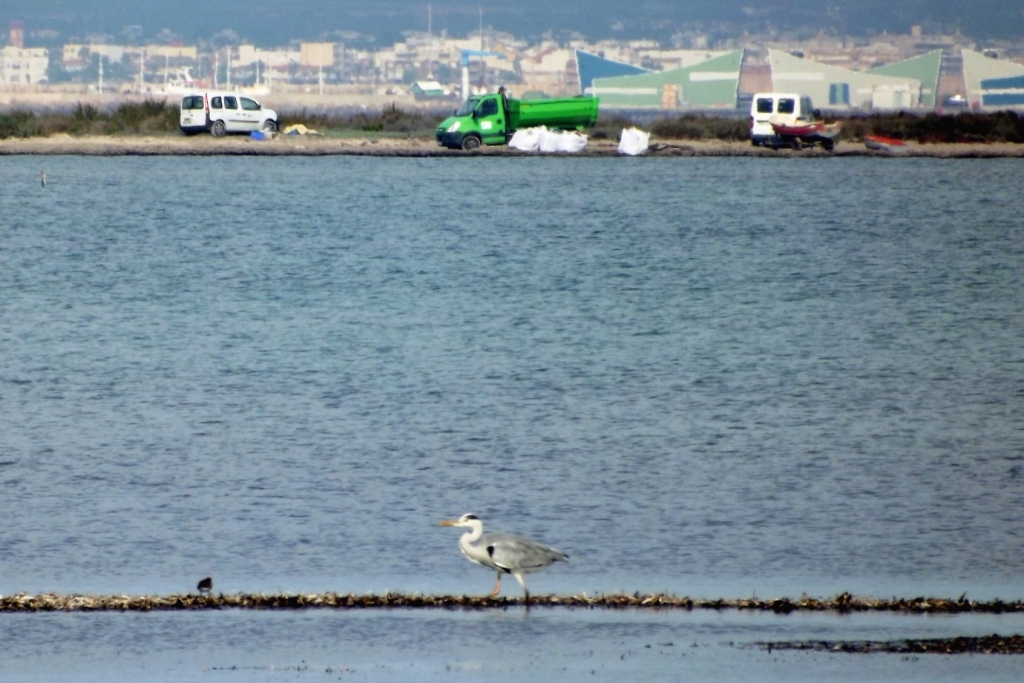 Pesca ilegal en la vertiente mediterránea de La Encañizada (Mar Menor)