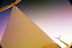 La Junta de Extremadura  inicia los contactos para recoger sugerencias sobre el nuevo decreto