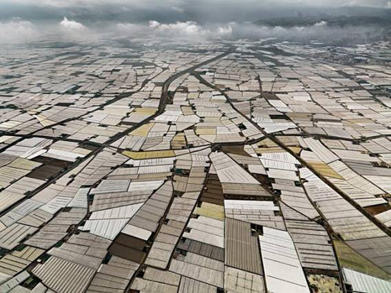 Almería. Contra la sobreexplotación del acuífero del Río Aguas