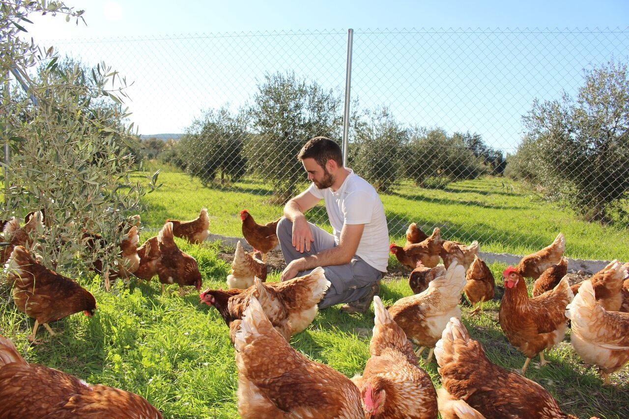 Los jóvenes ‘apuestan’ por proyectos de emprendimiento agrícola