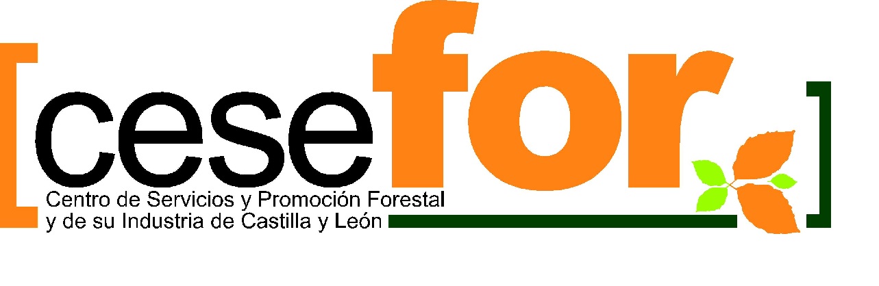 ForestUp lanza una nueva funcionalidad para generar versiones personalizadas de este simulador de bosques en 3D