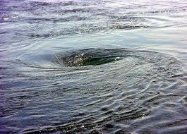 Cómo es el interior de los remolinos oceánicos