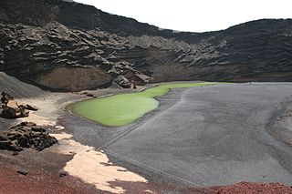 El OSE desarrolla un proyecto en Lanzarote sobre conservación de la biodiversidad y adaptación al cambio climático