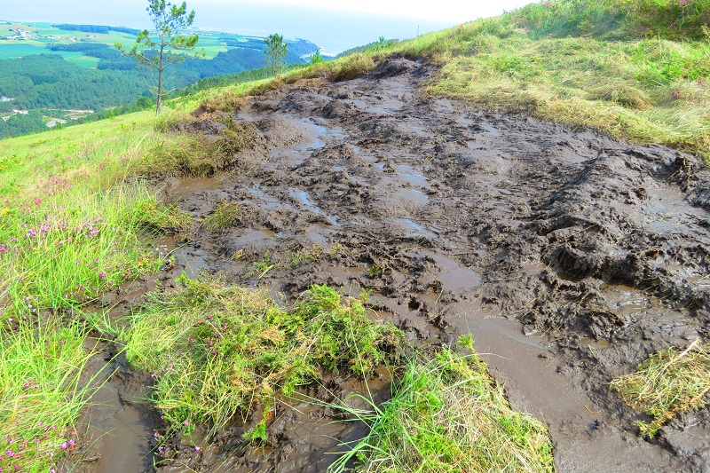 Asturias. Los riesgos de la superplanta de purines de Navia.