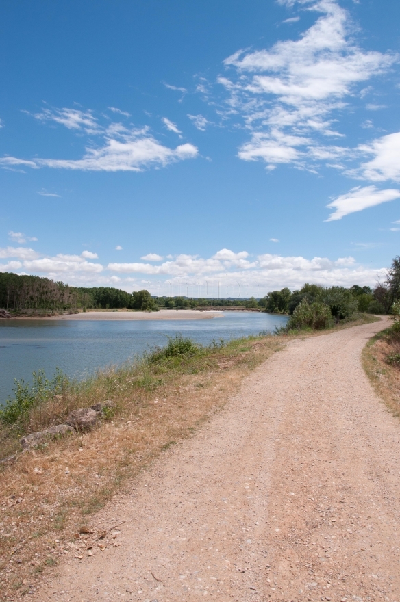 Medio Ambiente recuperará el Soto Tamarigal en la Reserva Natural de los Sotos del Ebro de Alfaro