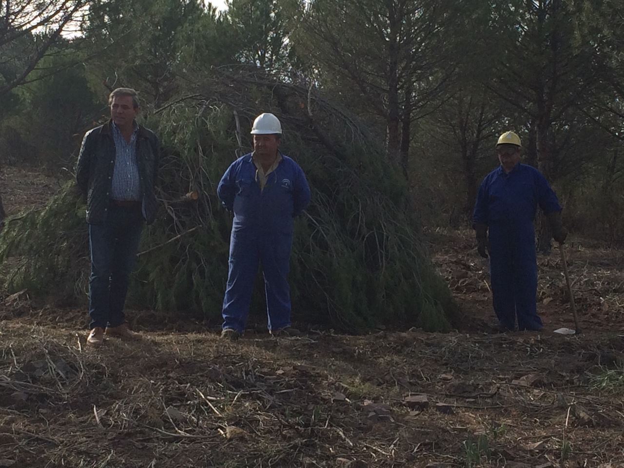 Nuevo cortafuegos en Chiclana de Segura