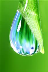 Jornada en Euskadi: Innovación en la gestión de riego