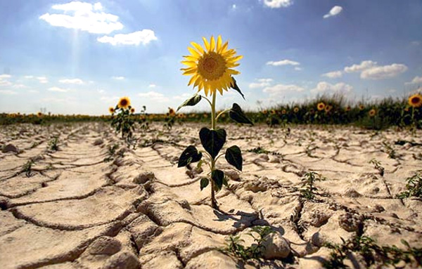 Te gustaría aprender a llevar a cabo negociaciones climáticas internacionales