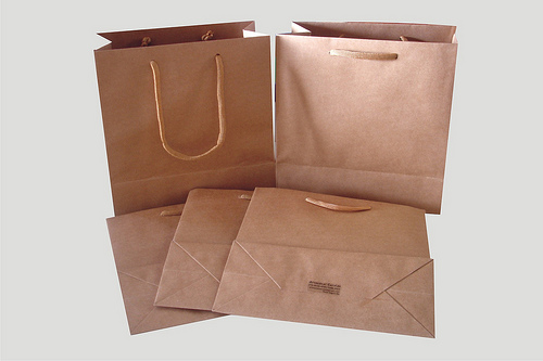 El sector del papel desarrollará una bolsa alternativa a la de plástico adaptada a los supermercados