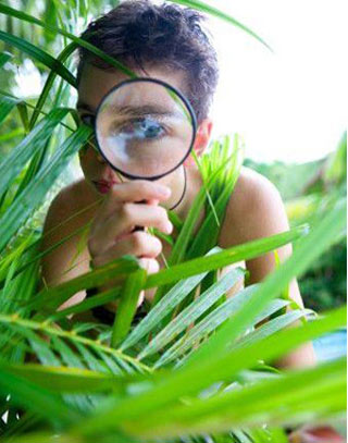 Sabías que hay un máster en periodismo ambiental