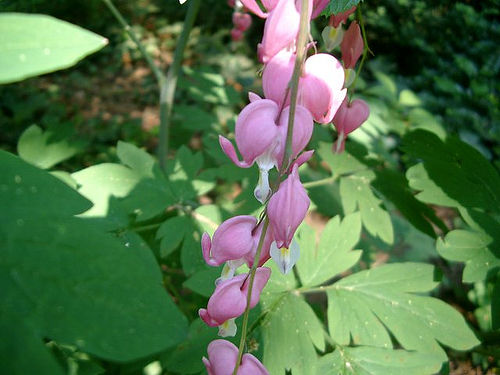 Los empresarios de Albacete y Pinto disponen de una Línea Verde  para consultas medioambientales