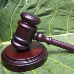 Defiende el medio ambiente desde la vertiente más profesional con este Diplomado en Derecho Ambiental